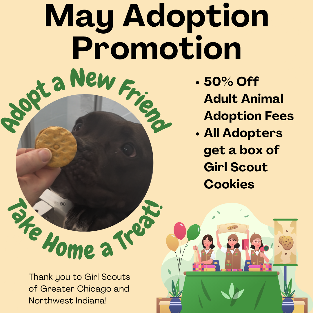 May Adoption Promo