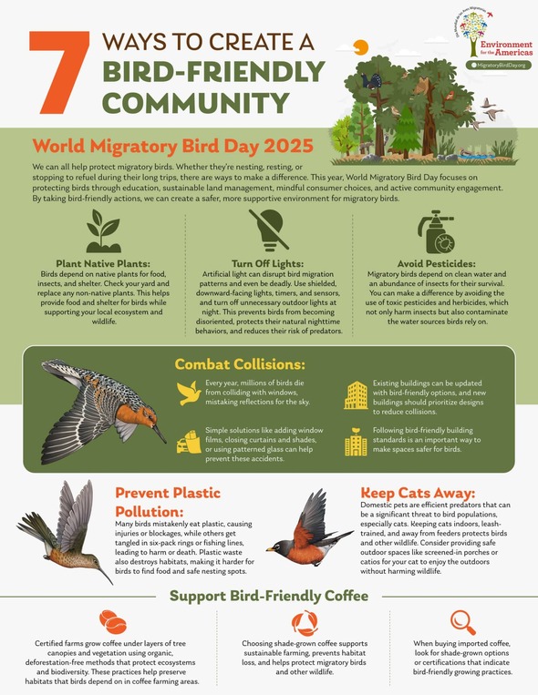 World Migratory Bird Day