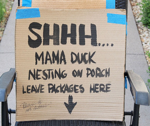 Sign alerting visitors of nesting duck on porch