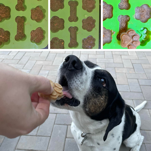 Frozen Dog Treats