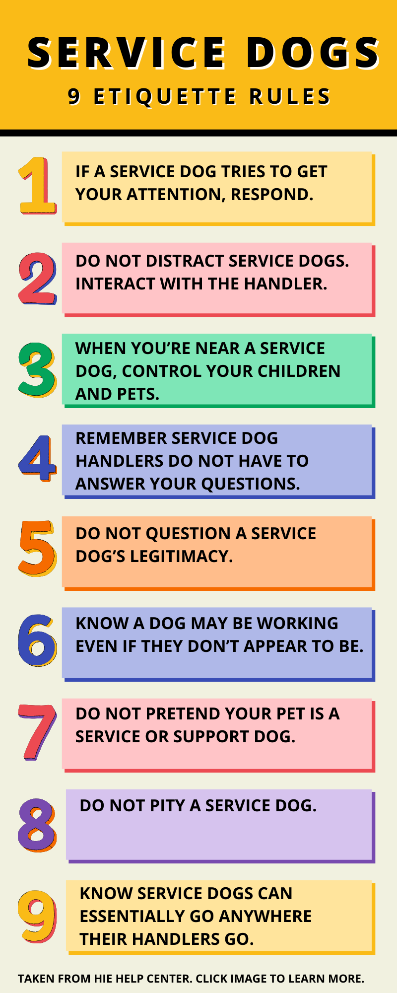 Service Dogs: 9 Etiquette Rules