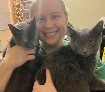 Vet Assistant Aubrey with her two gray cats