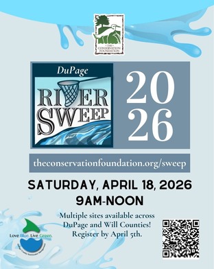 Flyer for The Conservation Foundations DuPage River Sweep 