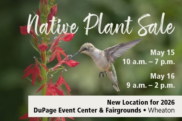 DuPage Forest Preserve 2026 Native Plant sale flyer with details, times, and a hummingbird eating from a plant