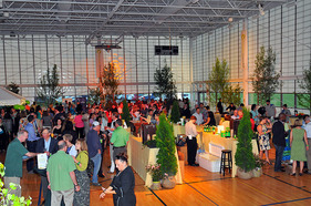 Green Ball by Genie Lemieux