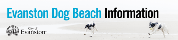 Dog Beach e-banner