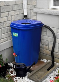 Evanston Rain Barrel