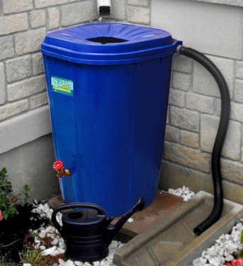 Blue Rain Barrel