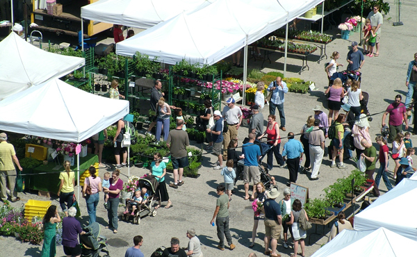 Farmers' Market view from above