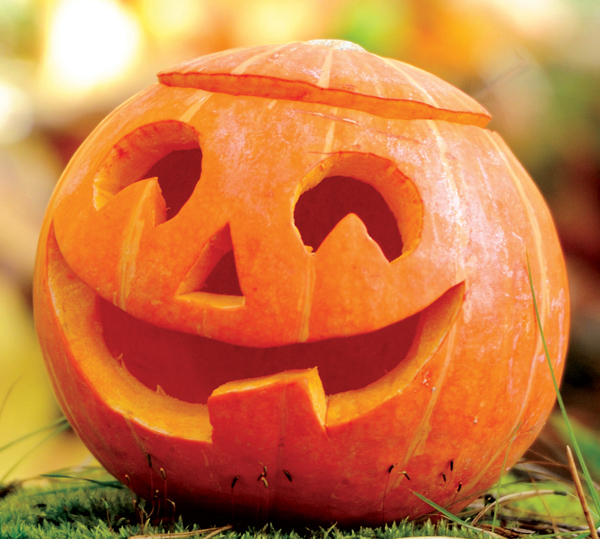 City of Houston collecting Halloween pumpkins for composting