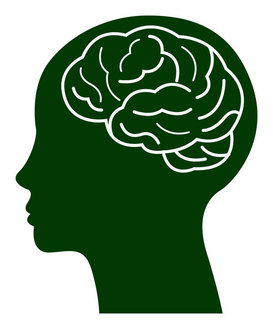 Brain illustration