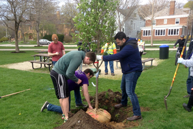 Clean Up, Evanston 2016