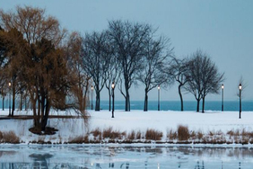 Northwestern campus in winter