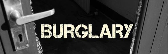 burglary task force