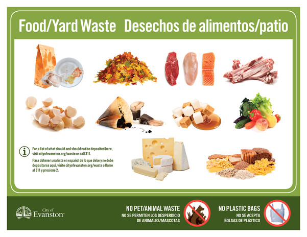 sustainable food bolsas