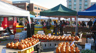 Fall Fest