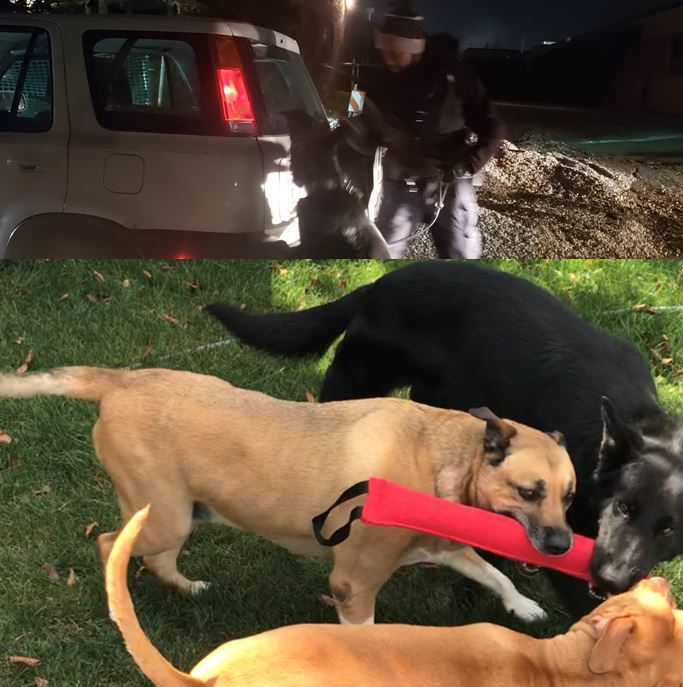 aston at work and play