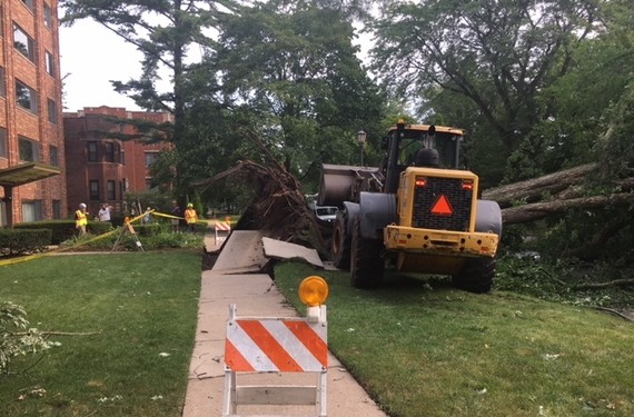 Storm cleanup - August 11, 2021