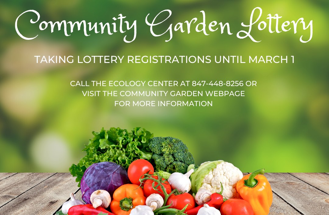 Community Garden