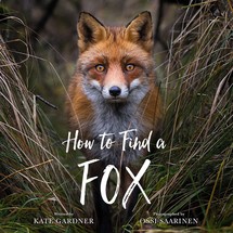 How to Find a Fox cover