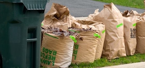 News Flash • Bagged Yard Waste Changes