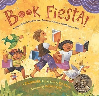 book fiesta book cover