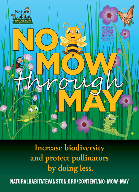 No Mow May flyer