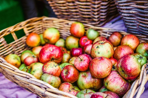 apples