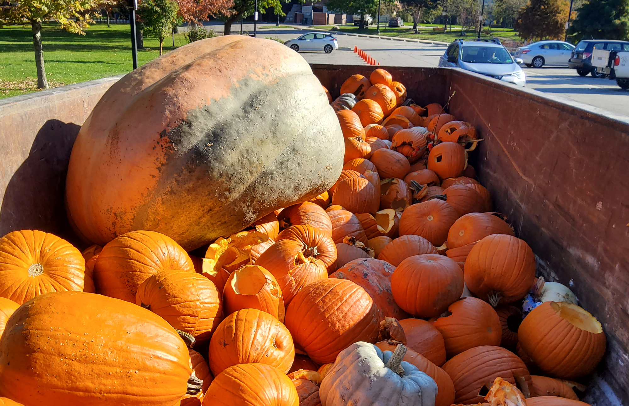 e-News: Summer jobs, pumpkin composting, and more!