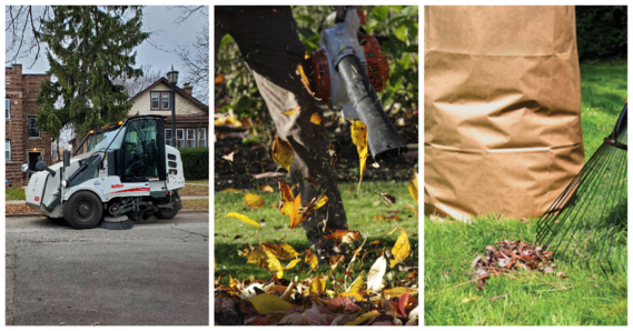 Fall cleanup collage