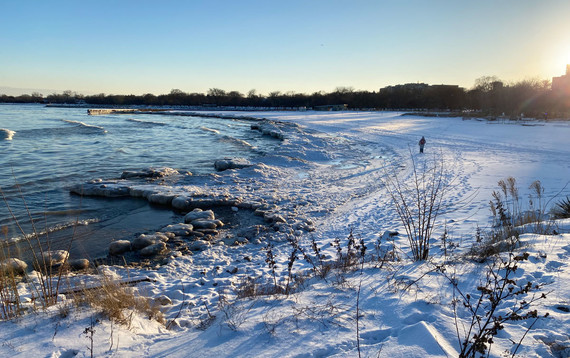 Shelf Ice