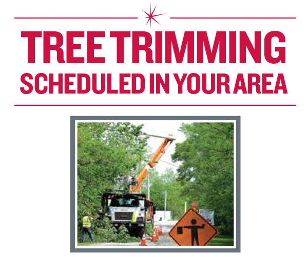 ComEd Tree Trimming notice