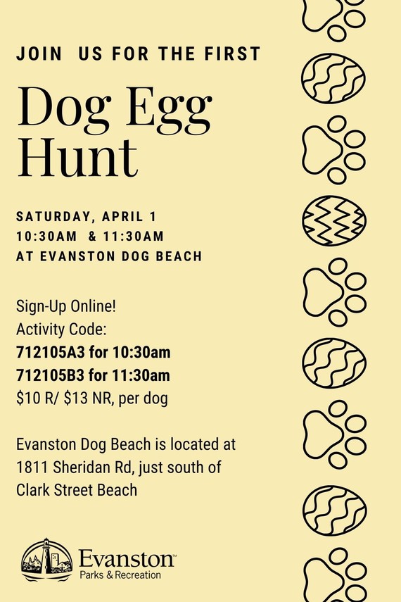 Dog Egg Hunt