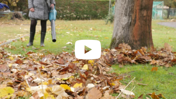 Leaf Blower video still image