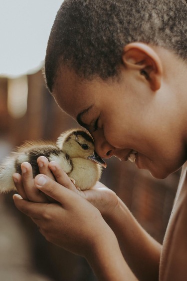 child and duckling