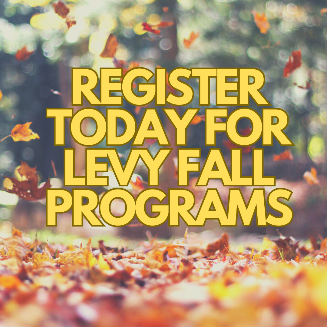 Levy Fall Programs