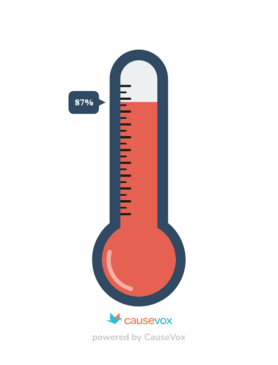 Thermometer showing 87% to goal