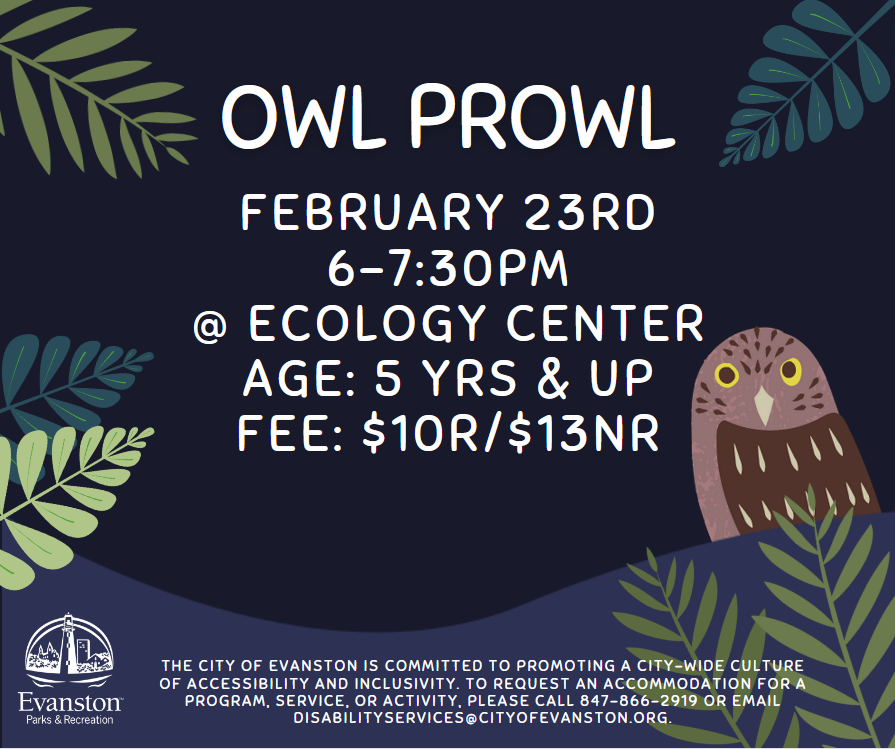 Owl Prowl
