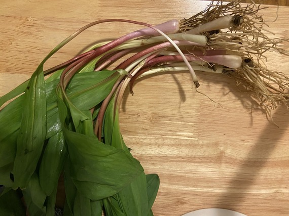 ramps