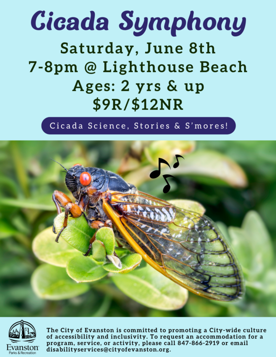 cicada symphony poster