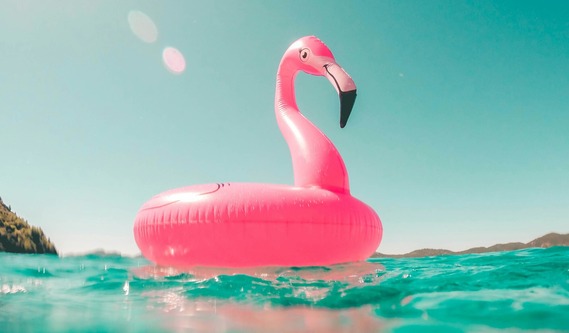 flamingo floating inner tube on the water