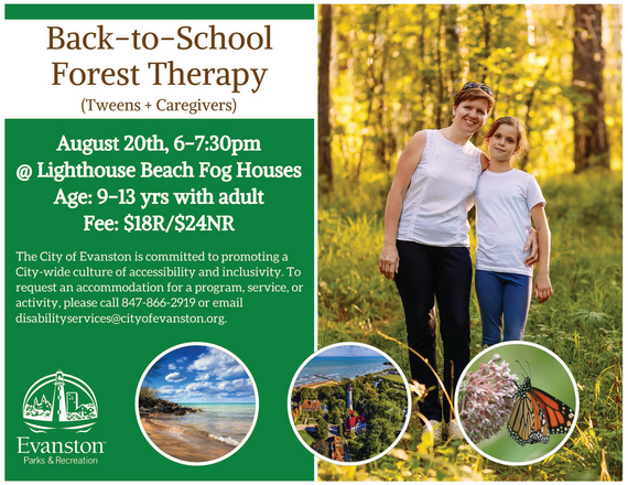 back to school forest