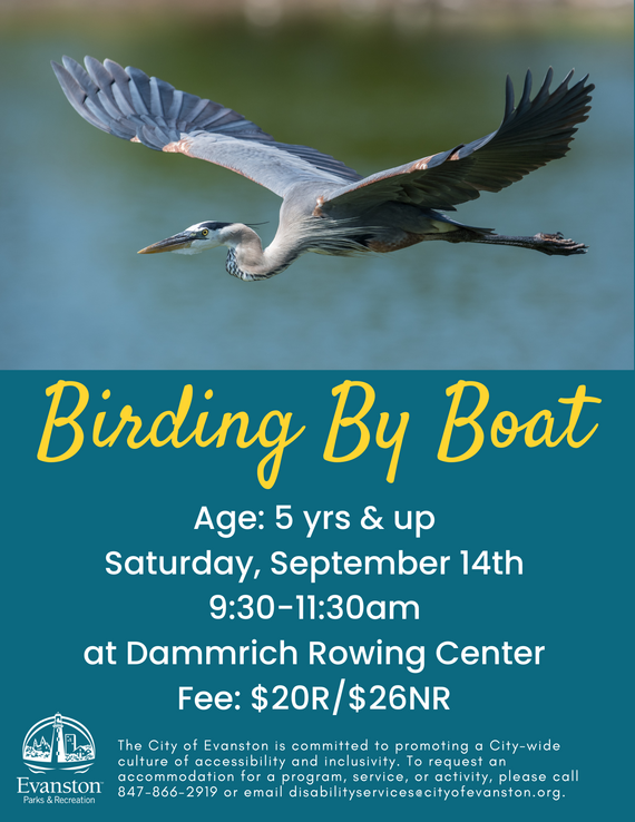 birding by boat
