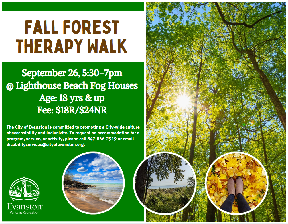 fall forest therapy