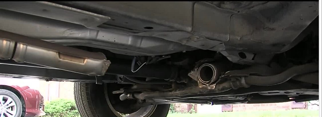 undercarriage cat pic