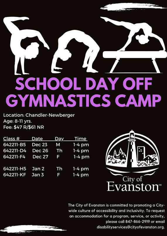 gymnastics day camp
