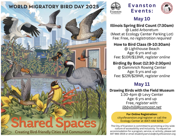 migratory bird day