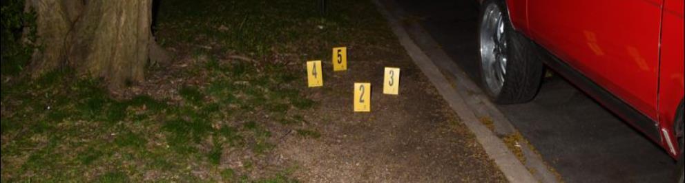 SHELL CASINGS 
