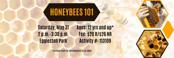 honeybees 101