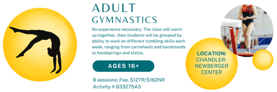adult gymnastics